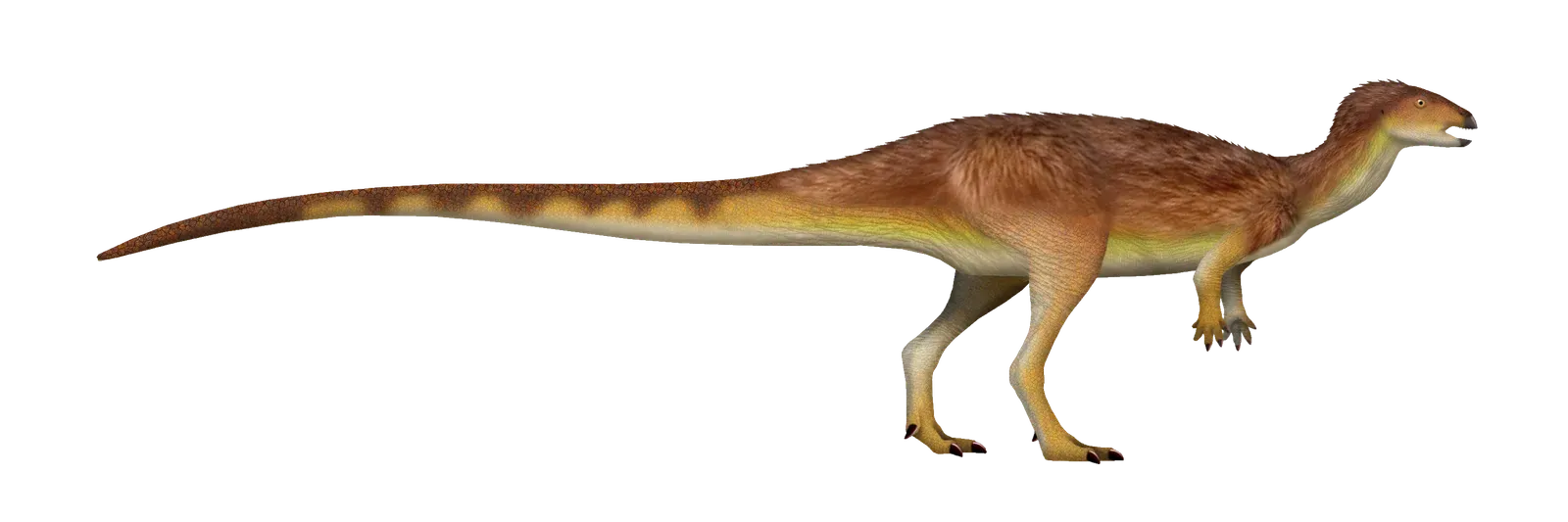 7. Oryctodromeus and the Survival Strategy of Burrowing Underground (By TotalDino, CC BY 4.0)