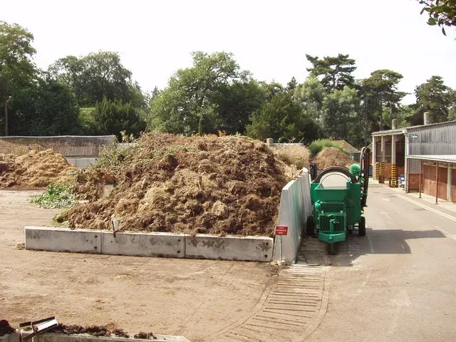 #9 It Manufactures Natural Antibiotics and Plant-Protective Compounds (From geograph.org.uk, CC BY-SA 2.0)