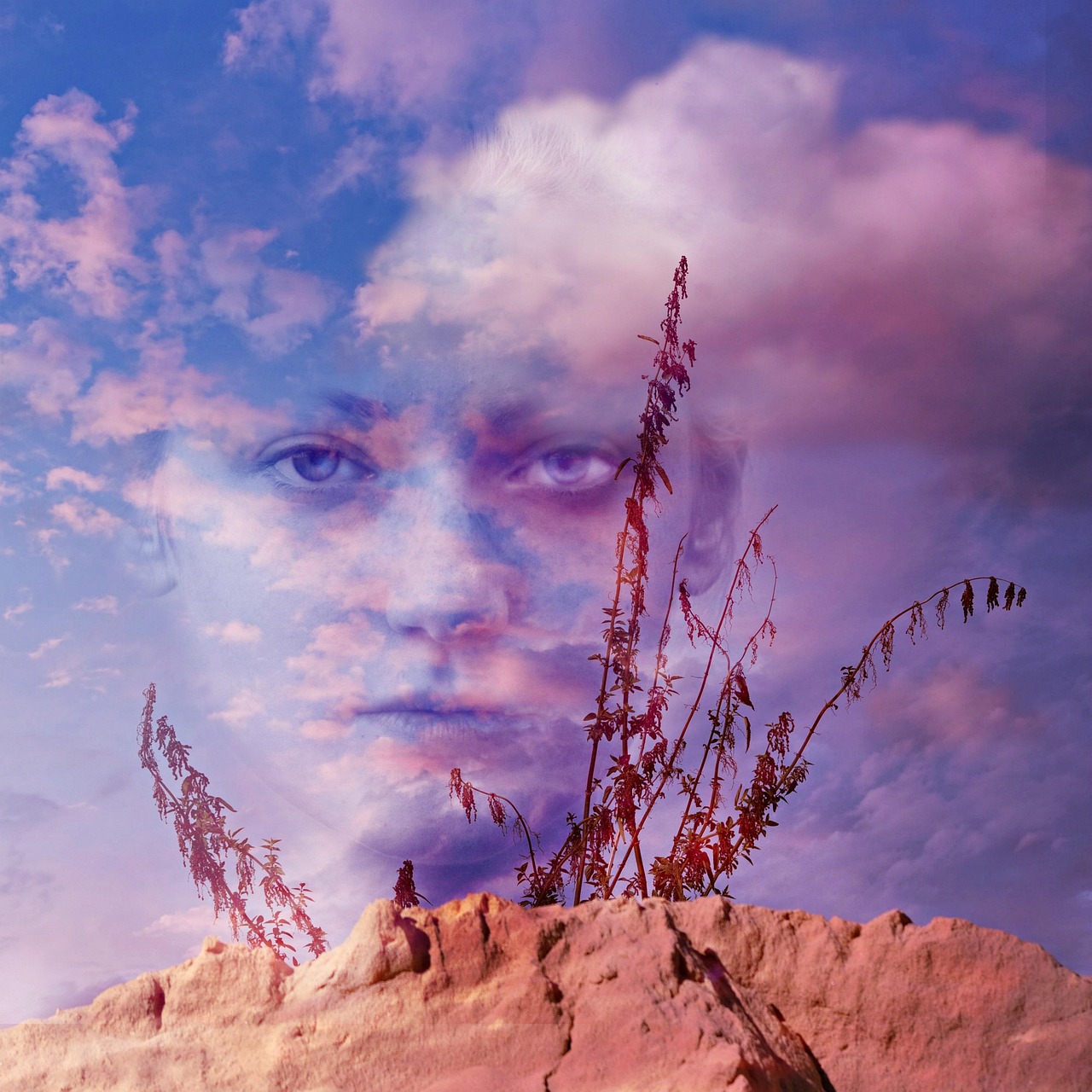 Sagittarius - The Future Seer (Image Credits: Pixabay)