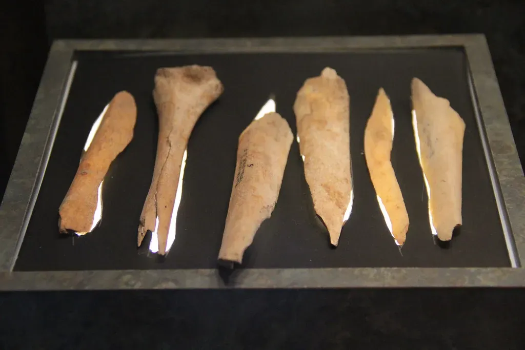#3 - Cut Marks on Bones That Might - or Might Not - Be Cannibalism (Image Credits: Flickr)