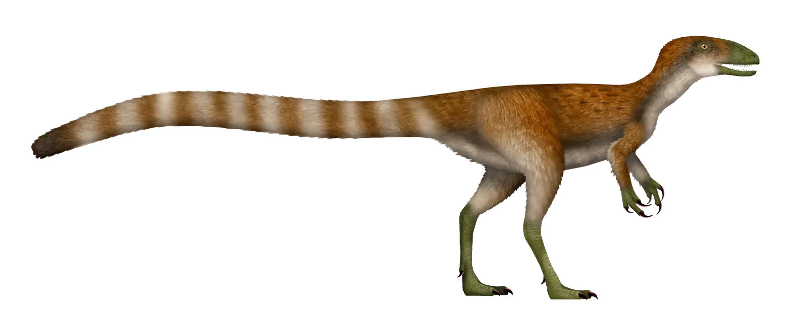 #6 - Huadanosaurus Was Dressed to Impress (By TotalDino, CC BY 4.0)