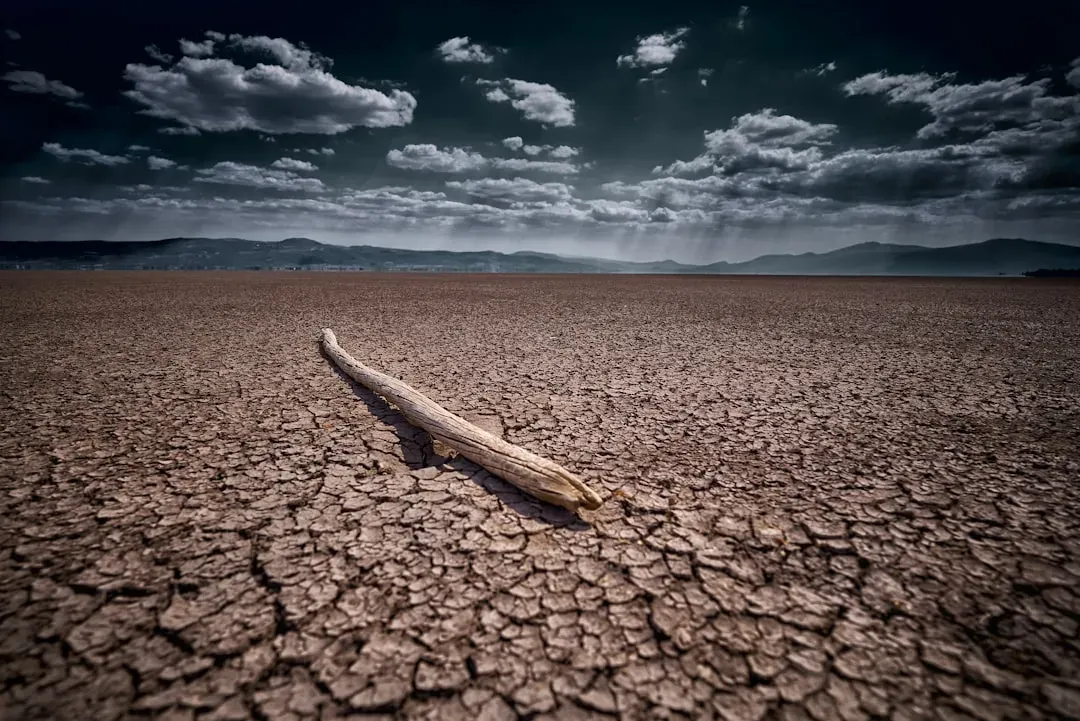 4. After Mass Extinctions, Ecosystems Rebooted in Weird and Unstable Ways (Image Credits: Unsplash)