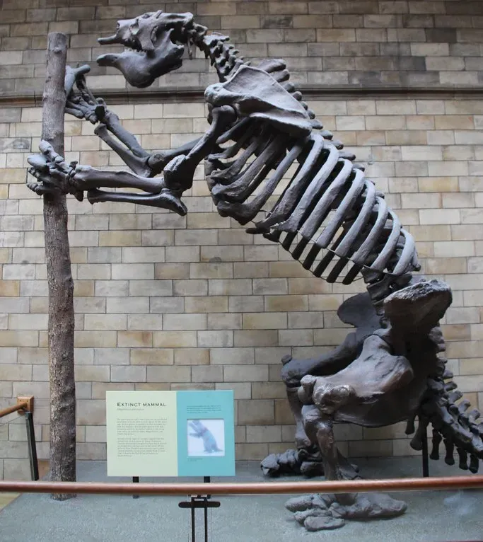 #8 - The Abrupt Disappearance of Giant Ground Sloths (Image Credits: Flickr)