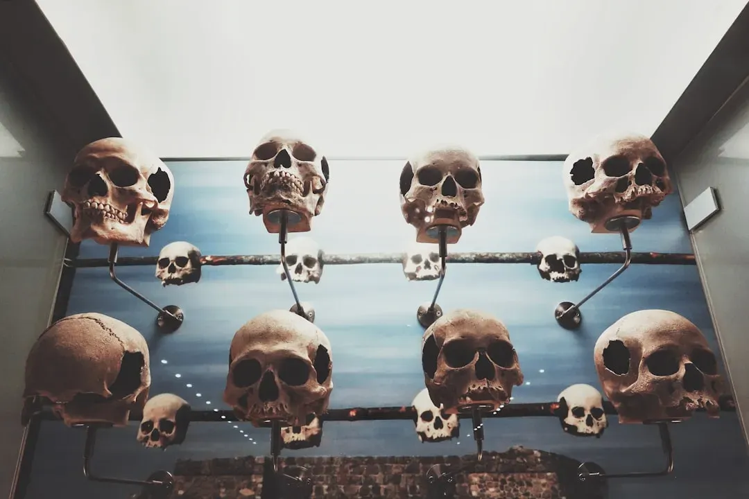 #9 - A Philadelphia Museum's Skull Wall Sparked A National Reckoning (Image Credits: Unsplash)