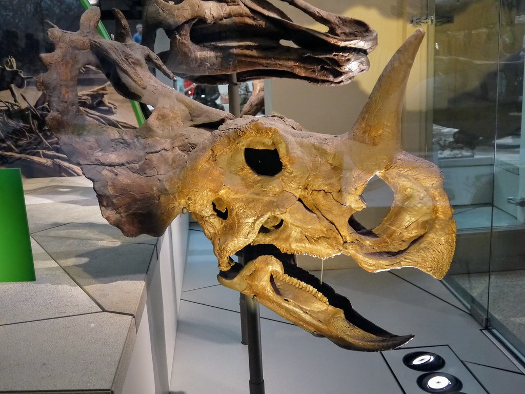 A Testament to Scientific Collaboration (Image Credits: Flickr)