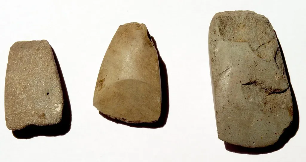 2. Their tools evolved over tens of thousands of years - and some were incredibly specialized (arnybo, Flickr, CC BY-SA 2.0)