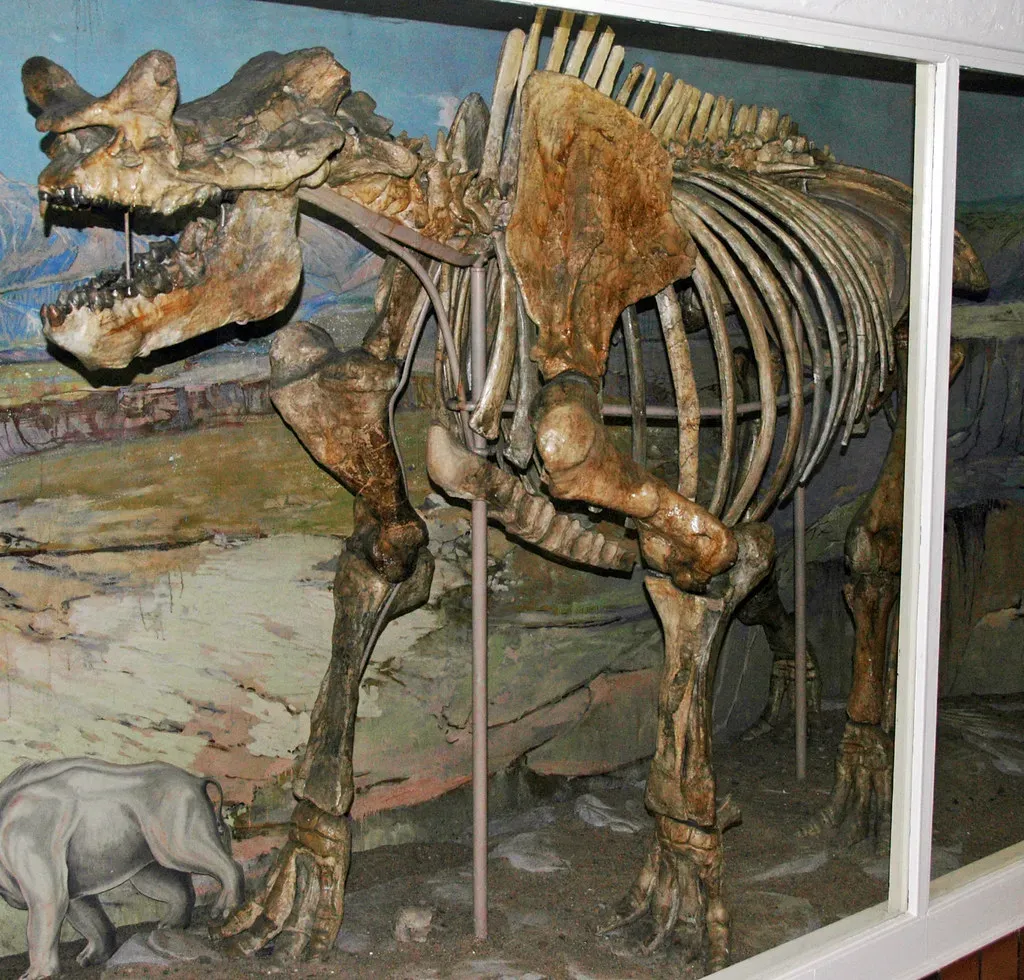 The Age of Mammals Takes Center Stage (Image Credits: Flickr)