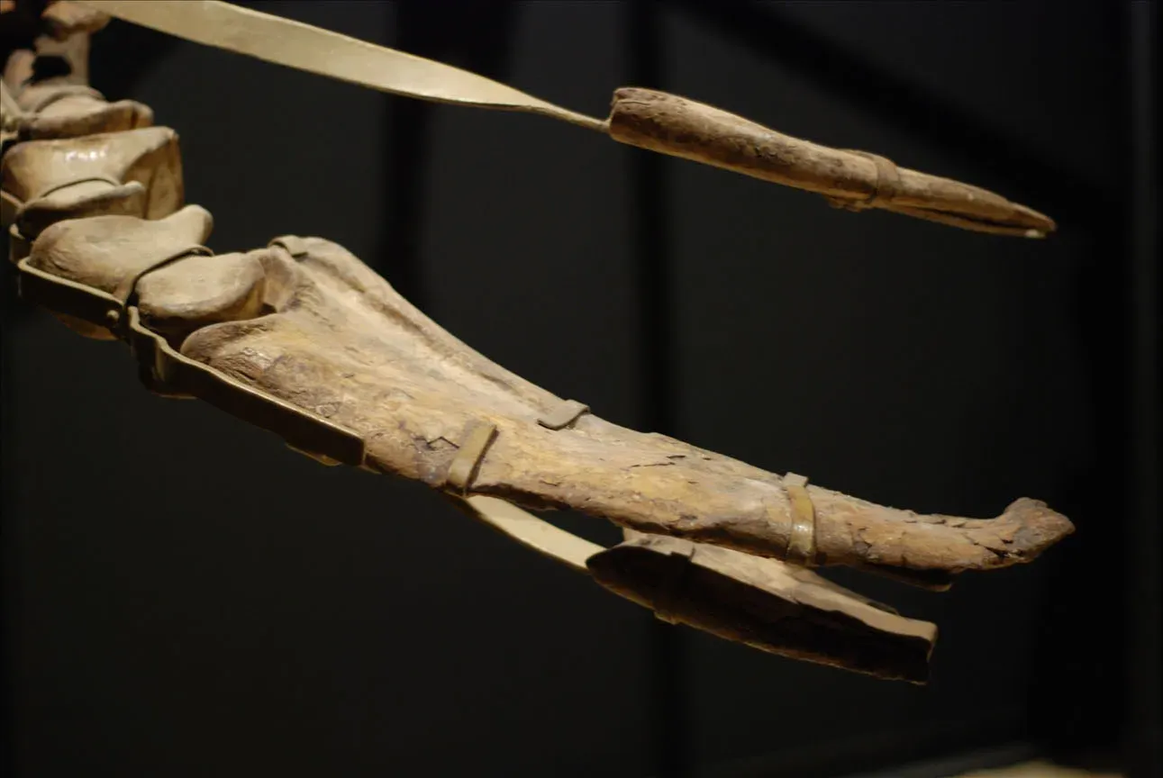 8. Therizinosaurus: The Giant Clawed Herbivore That Looks Like A Monster Cosplay (By Frank Black Noir, CC BY 2.0)