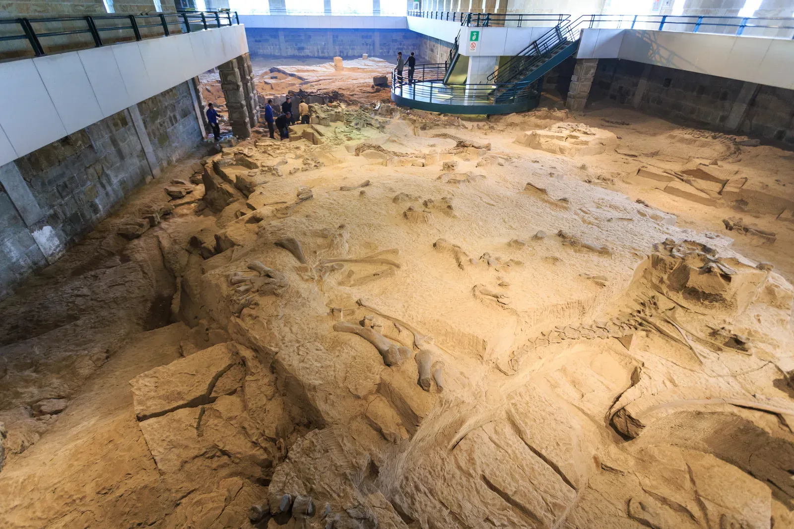 Why Dinosaurs Keep Turning Up in New Places (By Zhangzhugang, CC BY 4.0)