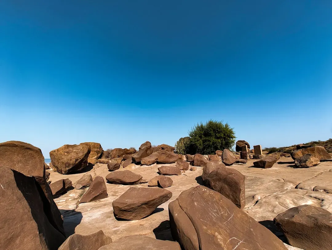 Africa's Untapped Paleontological Treasure Trove (Image Credits: Unsplash)