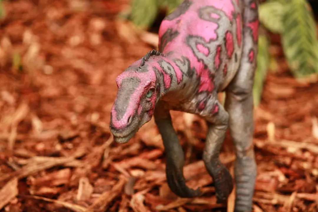 Beyond Feathers: Color in Scales and Sauropod Skin (Image Credits: Unsplash)