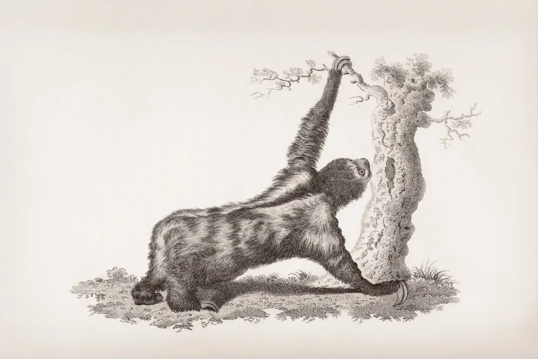 The Bizarre World of Giant Ground Sloths (Image Credits: Unsplash)