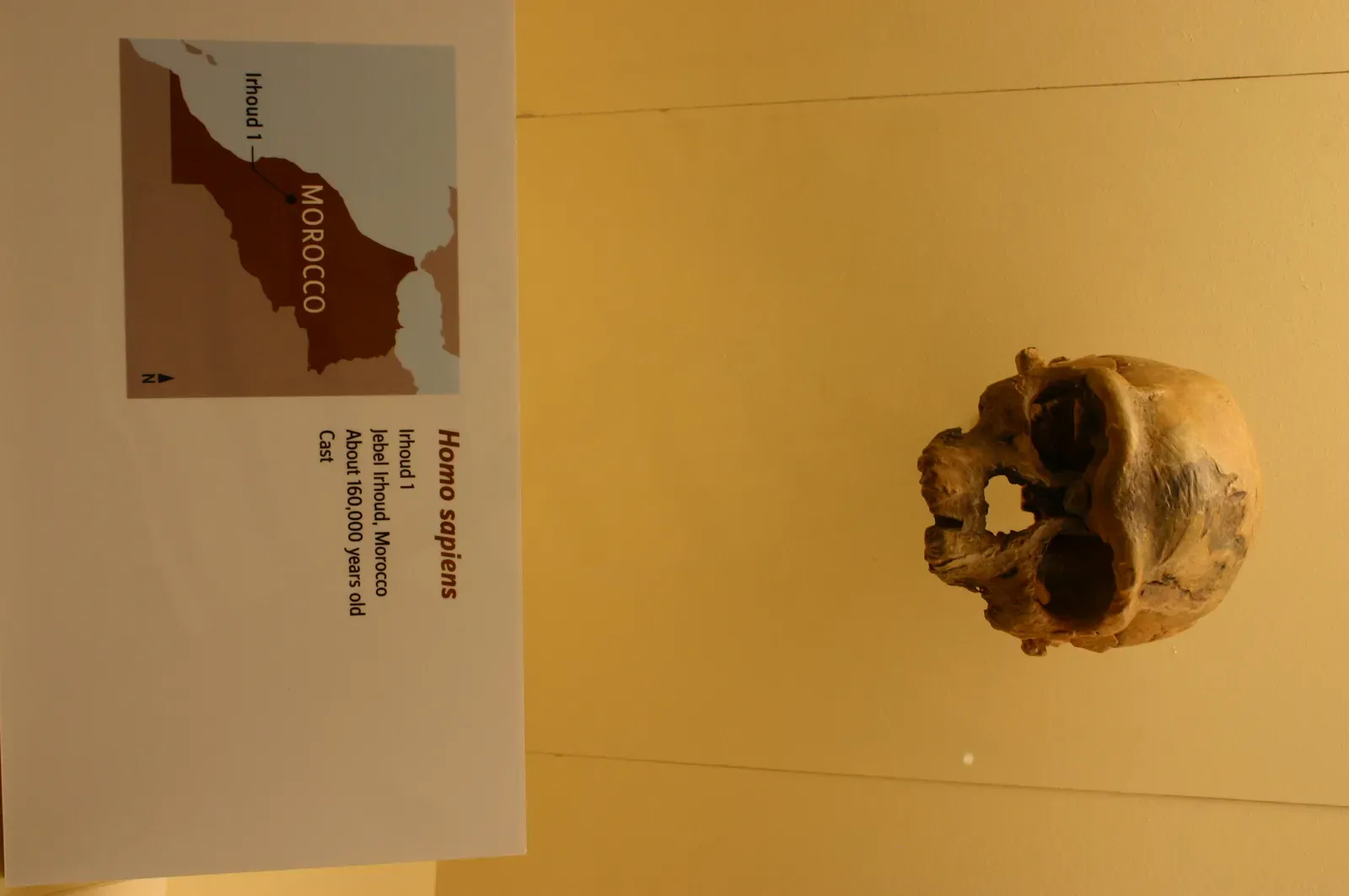 The Jebel Irhoud Hunters: Earlier Origins in North Africa (Homo Sapiens 160,000 Years Old, CC BY-SA 2.0)