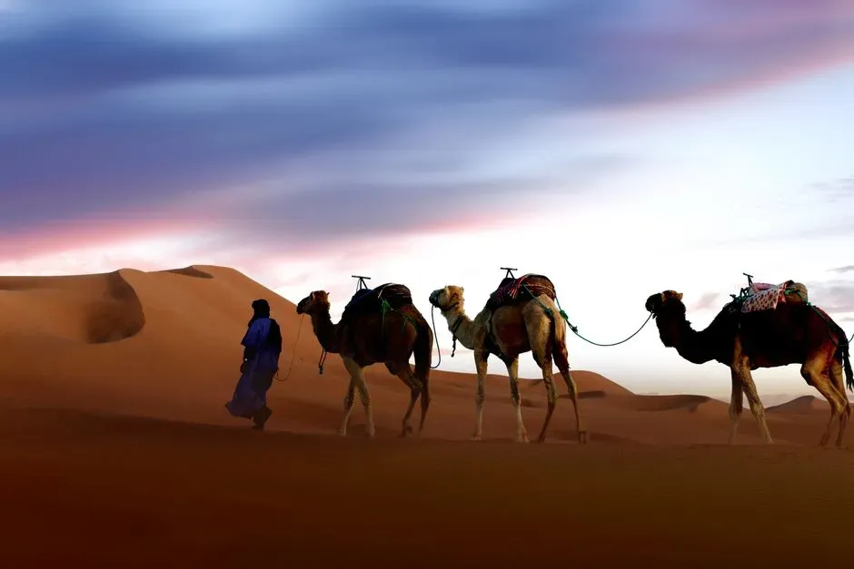 7. Desert caravan routes and way stations in Arabia’s Empty Quarter (Image Credits: Pexels)