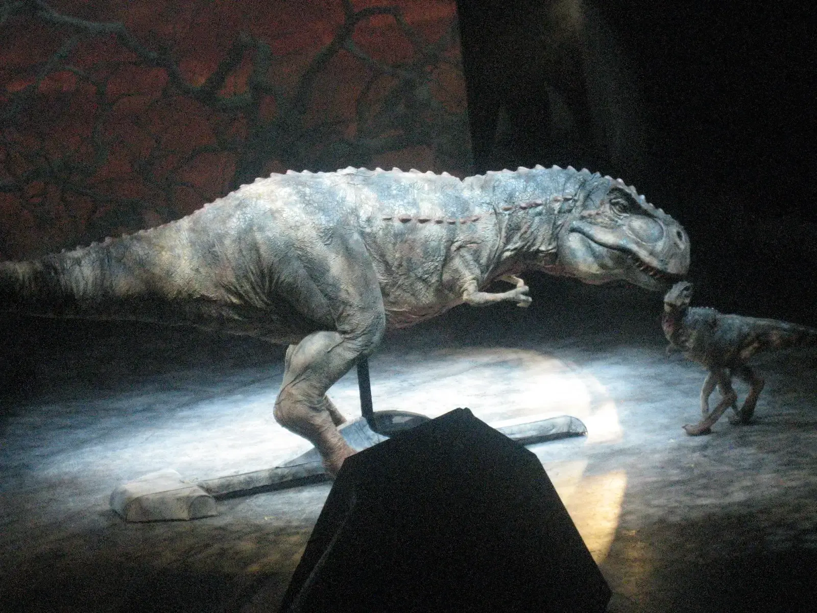 Myth 1: T. Rex Was a Terrifyingly Fast Runner (Image Credits: Wikimedia)