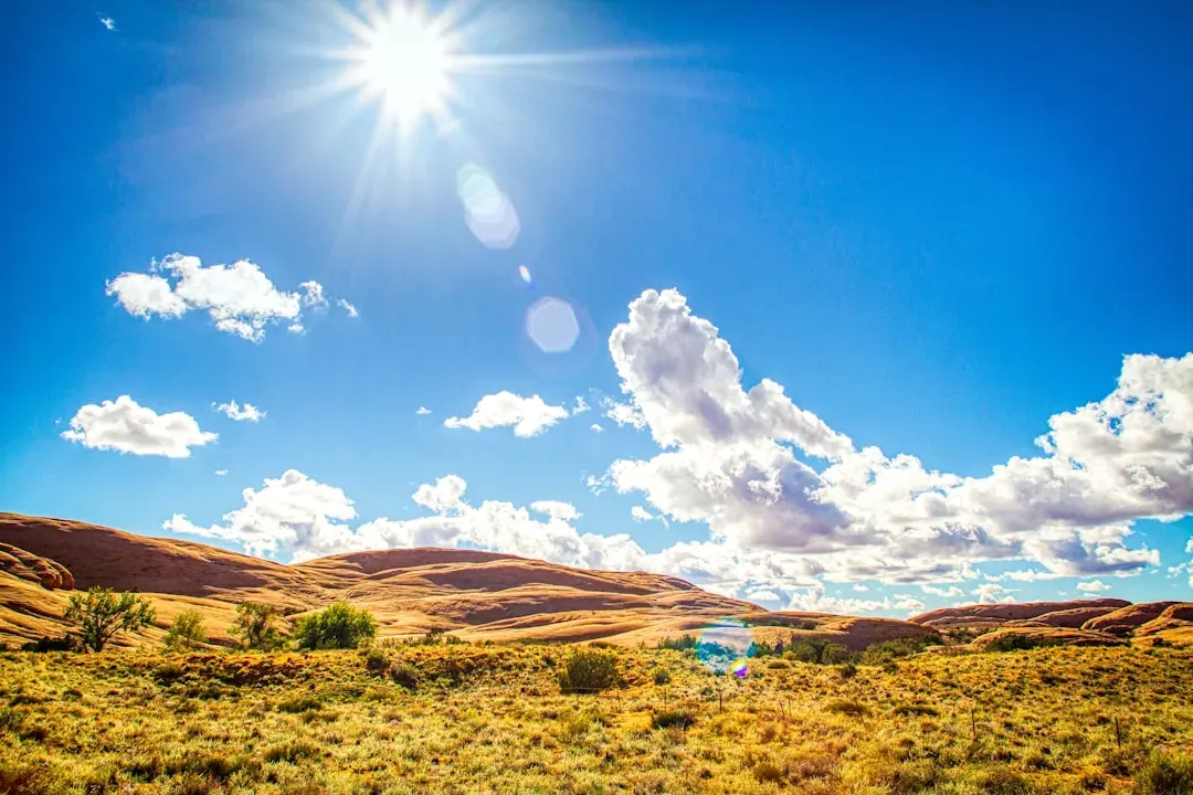 Midday Heat: Rest, Repair, and the Art of Doing “Nothing” (Image Credits: Unsplash)