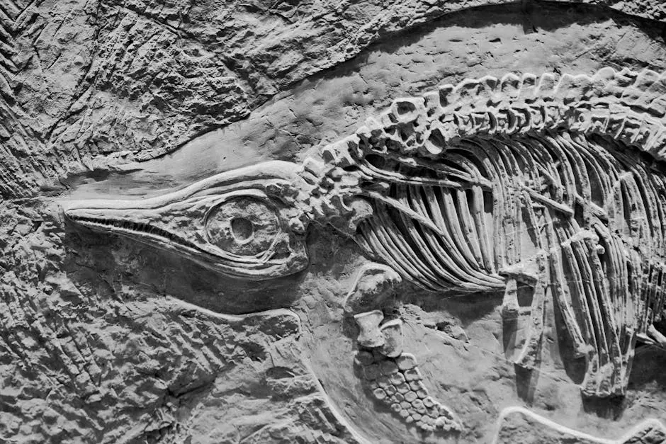 Reading Earth's Biography Through the Fossil Record (Image Credits: Pexels)