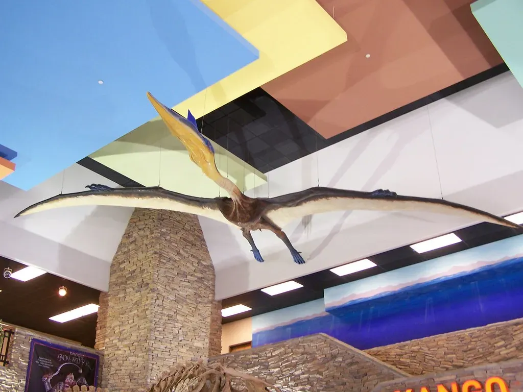 Fact 1: The Pterodactyl Was Not Actually a Dinosaur (ZacharyTirrell, Flickr, CC BY-SA 2.0)