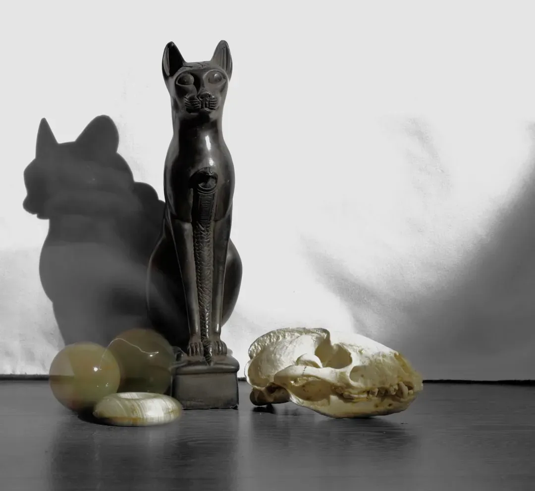 Egypt's Ancient Pet Cemetery: Companionship Across Two Thousand Years (Image Credits: Unsplash)