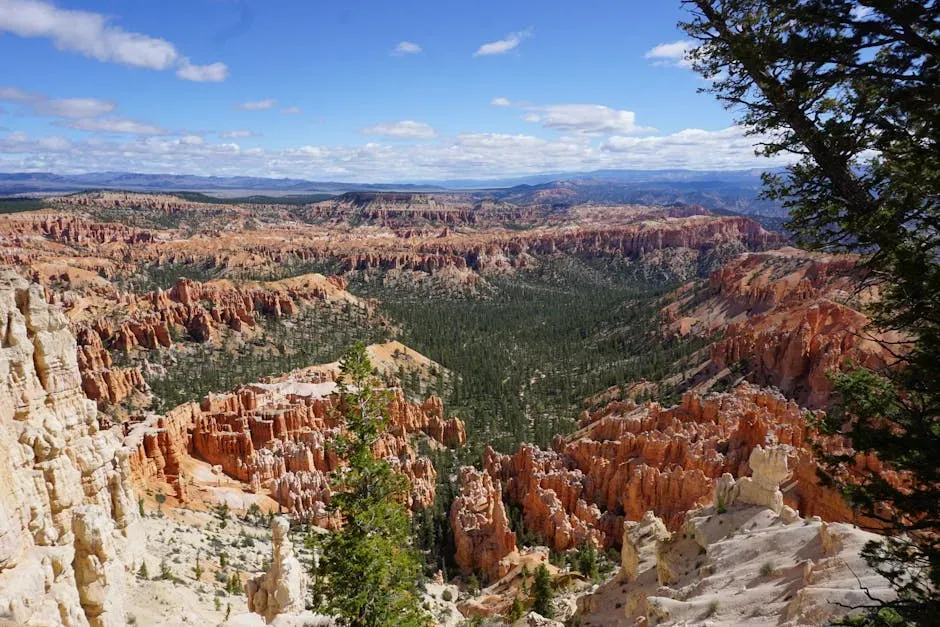 Conclusion (Image Credits: Pexels)