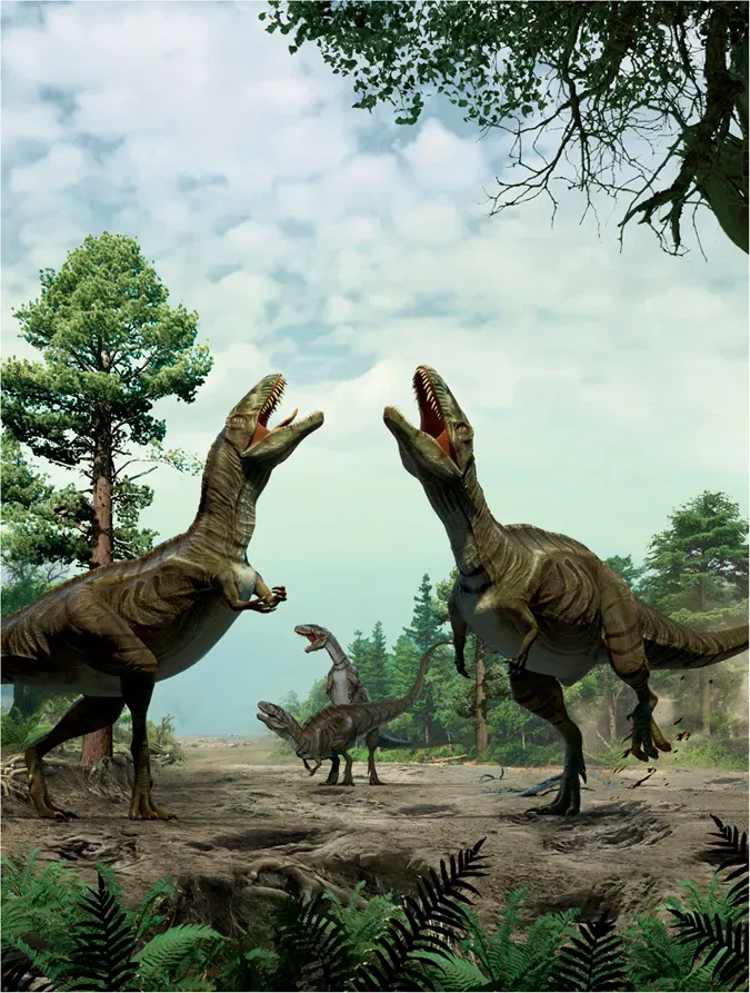 Territorial Instincts: From Dinosaur Displays to Property Lines and Power Struggles (Image Credits: Wikimedia)