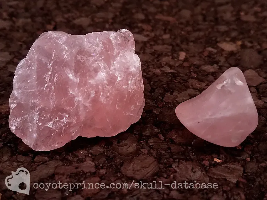 Libra: Harmonizing Rose Quartz for Love and Balance (Coyoteprince, Flickr, CC BY 2.0)