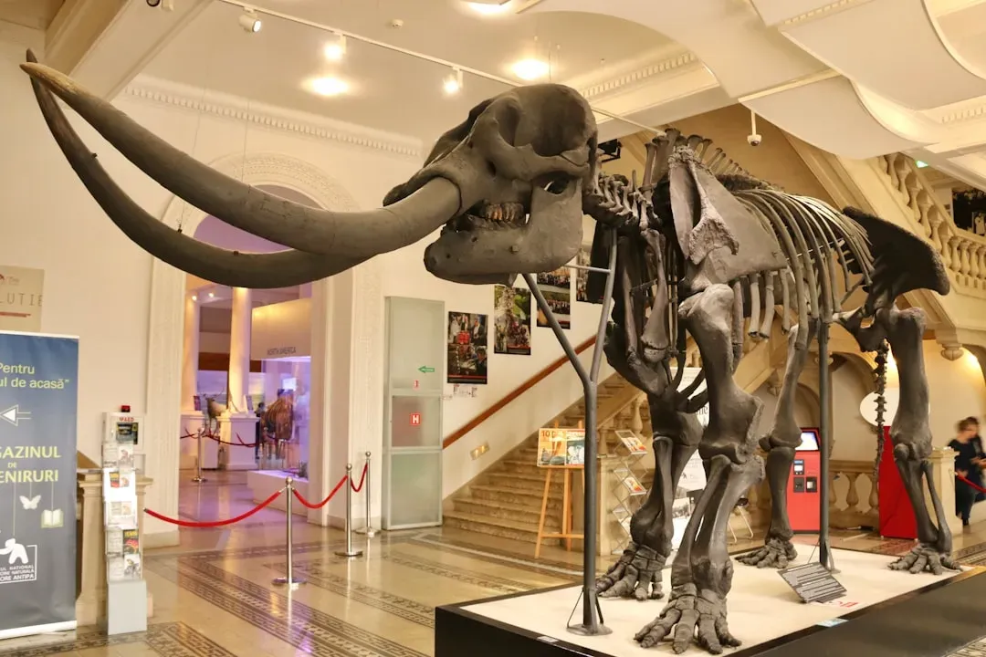 #9 - The Mammoth Would Need to Eat an Absurd Amount of Food Fast (Image Credits: Unsplash)