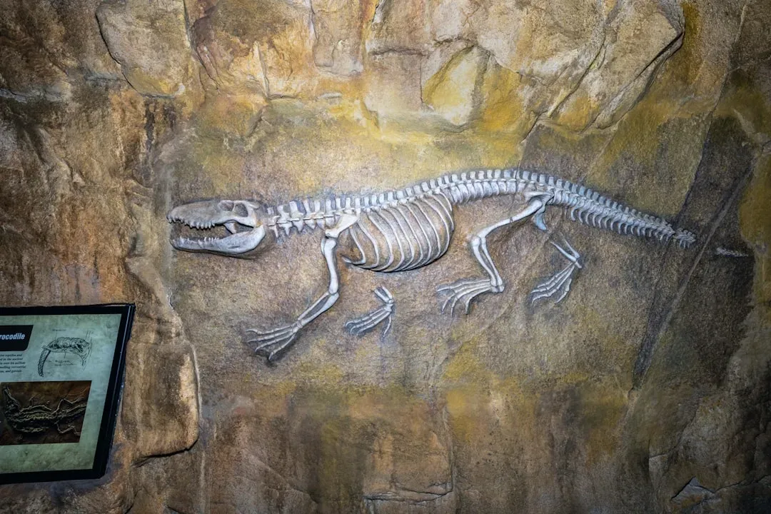 #10 – The Crocodile That Lived Like a Fast-Running Predator (Image Credits: Unsplash)