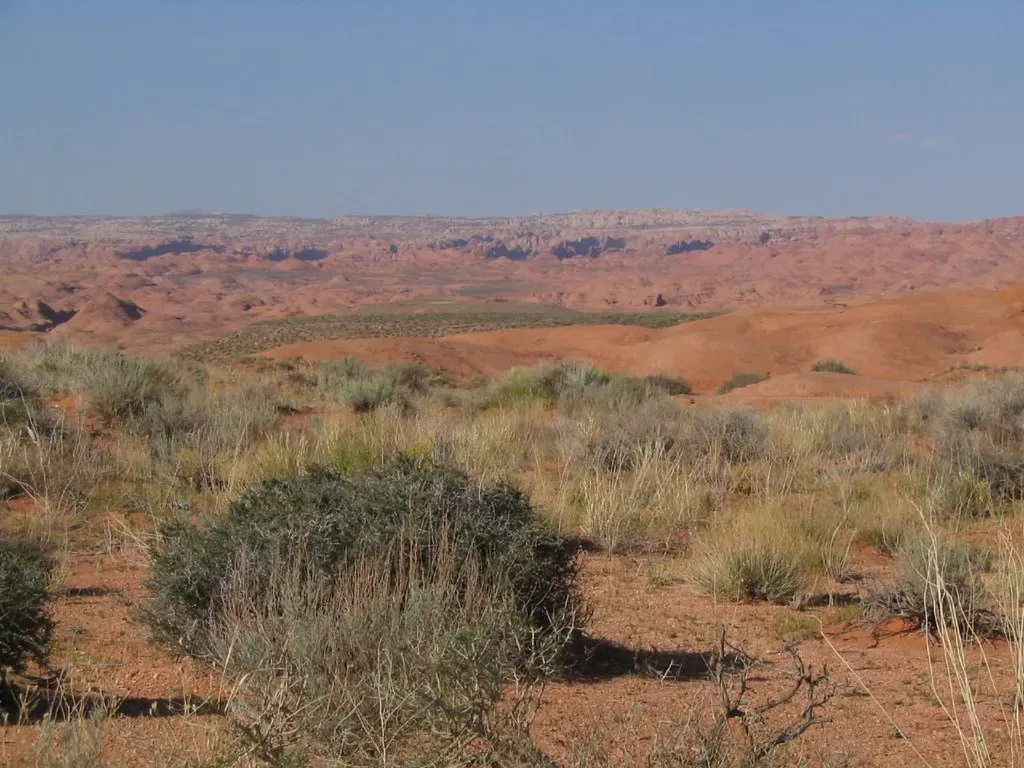 No Rockies Yet: A Younger, Flatter Western Landscape (Ken Lund, Flickr, CC BY-SA 2.0)