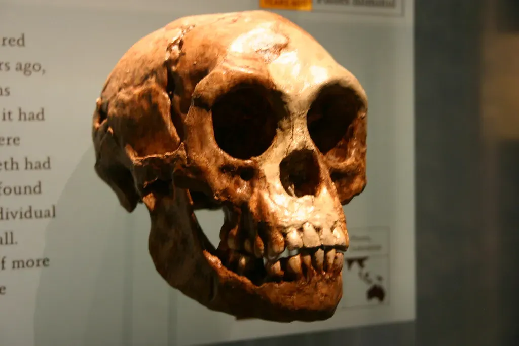 2. Homo floresiensis: The "Hobbit" Human No One Can Fully Explain (Ryan Somma, Flickr, CC BY 2.0)