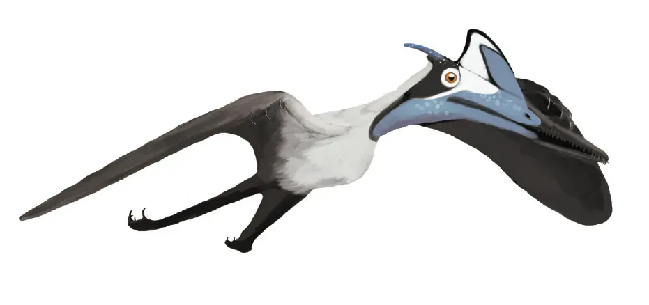 Pterodactylus: The Original Discovery (Image Credits: Wikimedia)