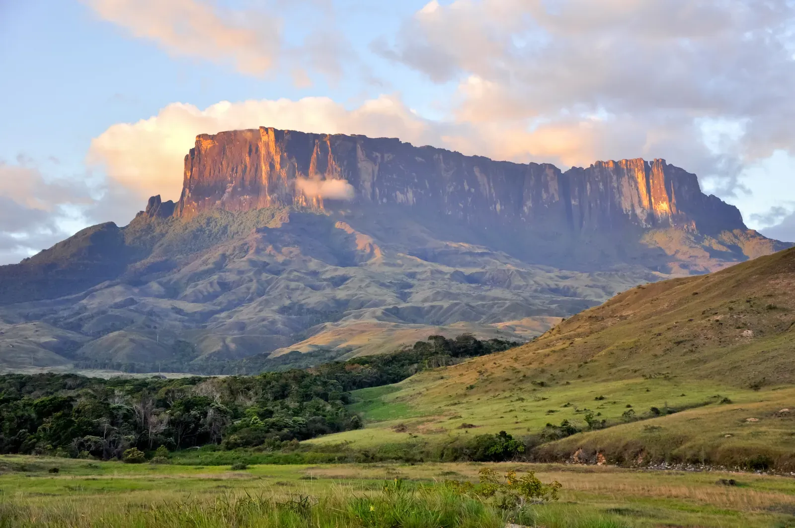 Mount Roraima (Image Credits: Wikimedia)