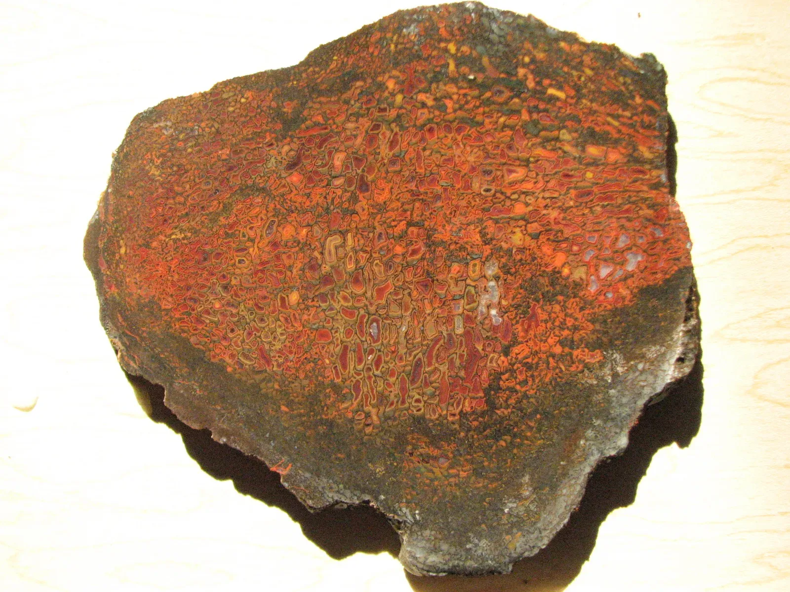 Isotopes Are the New Fossil Record: Reading Diet Through Chemistry (By Different Seasons Jewelry, CC BY 2.0)