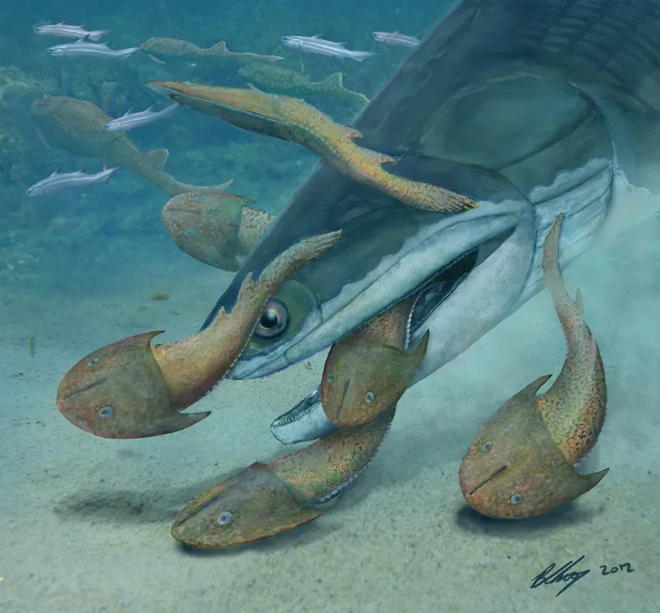 Megamastax: The Ancient Predator That Rewrote Evolution ((2014). "The largest Silurian vertebrate and its palaeoecological implications". Scientific Reports 4. DOI:10.1038/srep05242., CC BY 4.0)