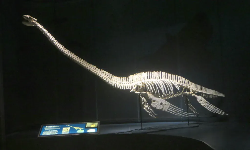 Conclusion (Image Credits: Flickr)