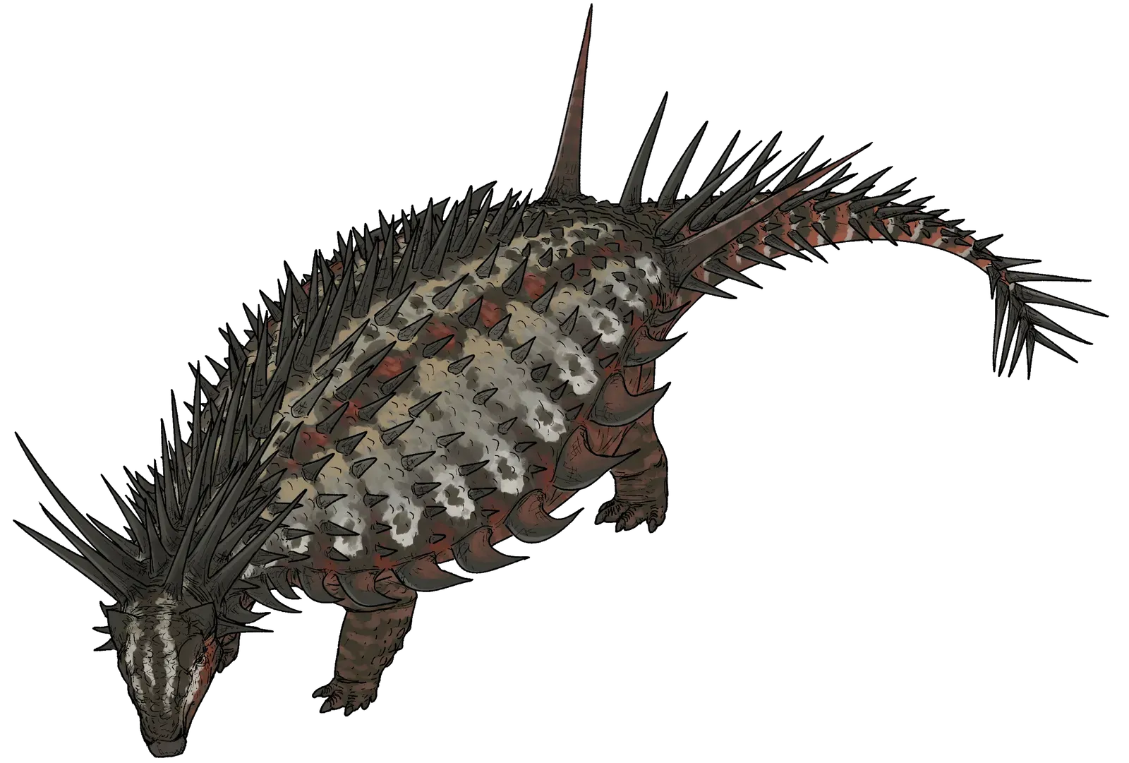 The Weirdest Armored Dinosaur Had Spikes Growing From Inside Out (Image Credits: Wikimedia)