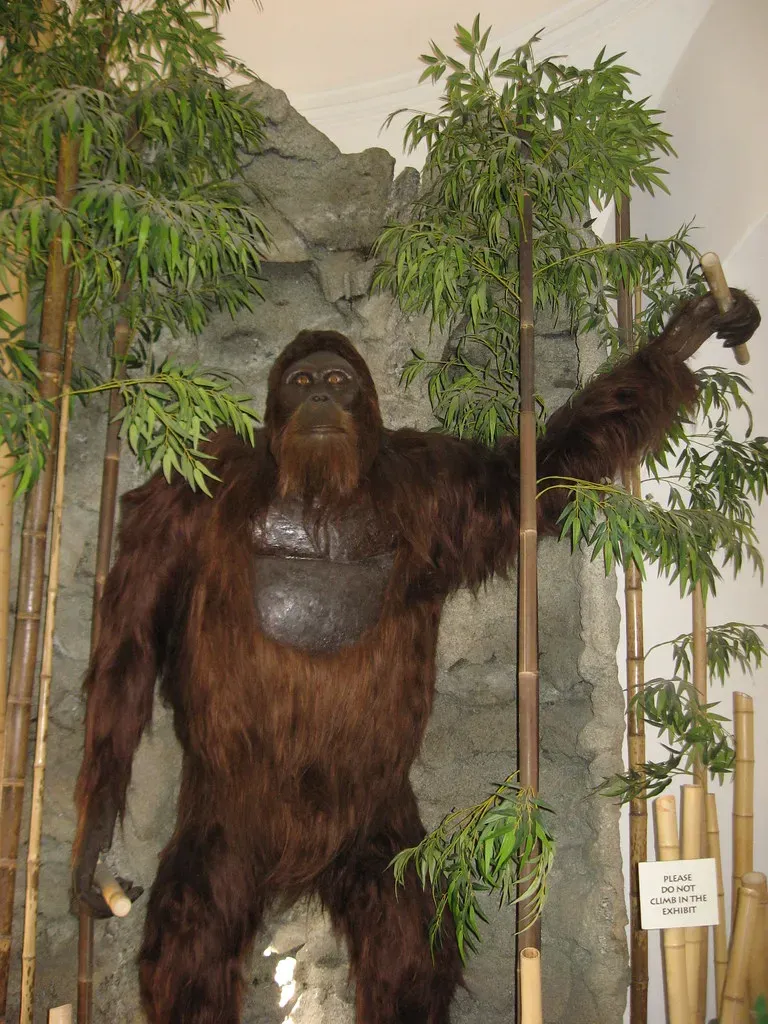 10. Climate Change and Inflexibility Led to Its Extinction (auxesis, Flickr, CC BY 2.0)