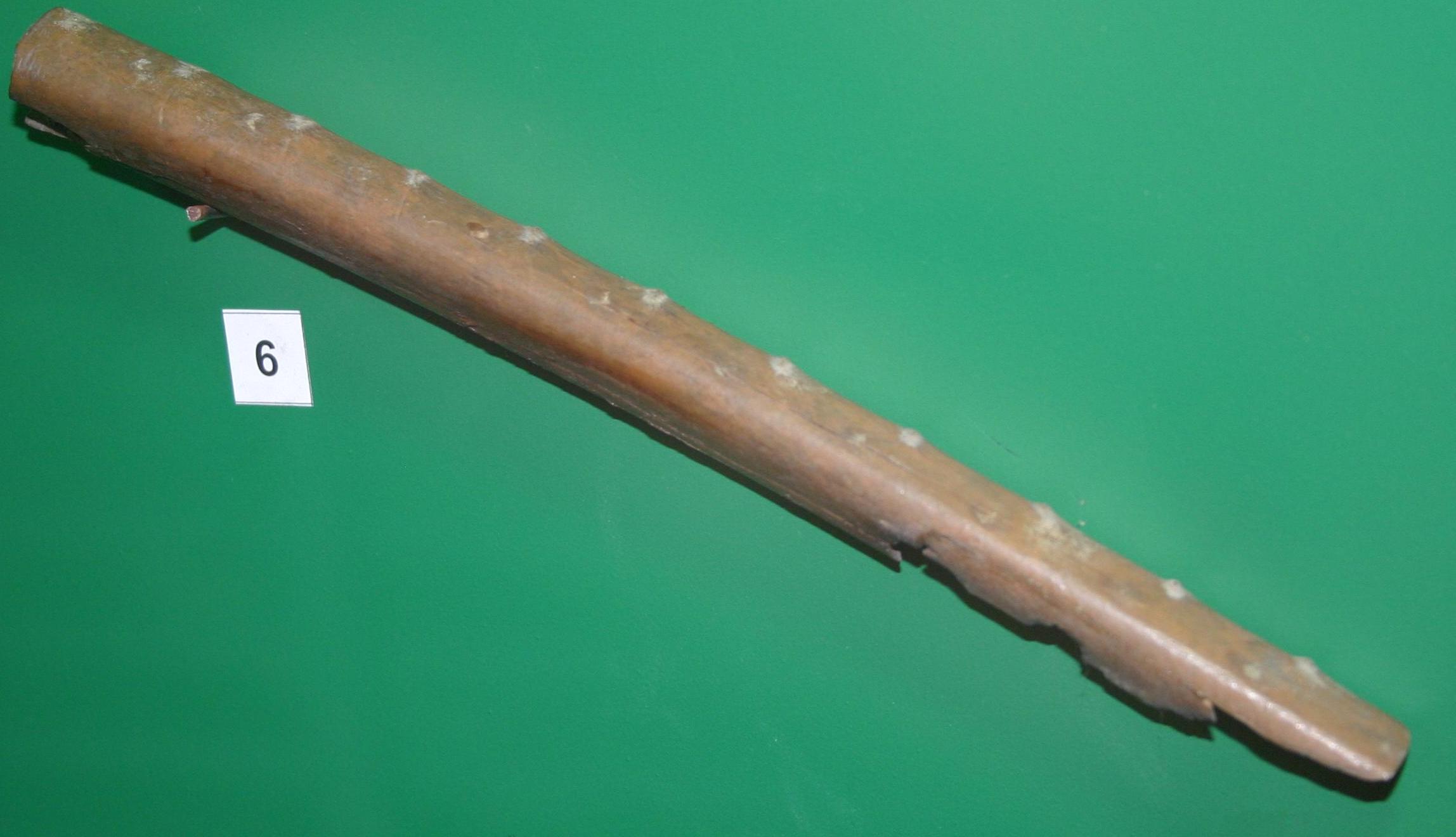 Musical Mastery in Mammoth Tusks (Image Credits: Wikimedia)