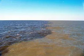 The Early Triassic Dead Zone: When the Ocean Almost Gave Up (Image Credits: Wikimedia)