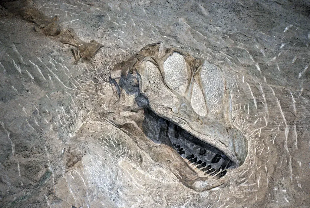 Carnegie Quarry and the Wall of Bones: Utah's Treasure Buried in Rock (James St. John, Flickr, CC BY 2.0)