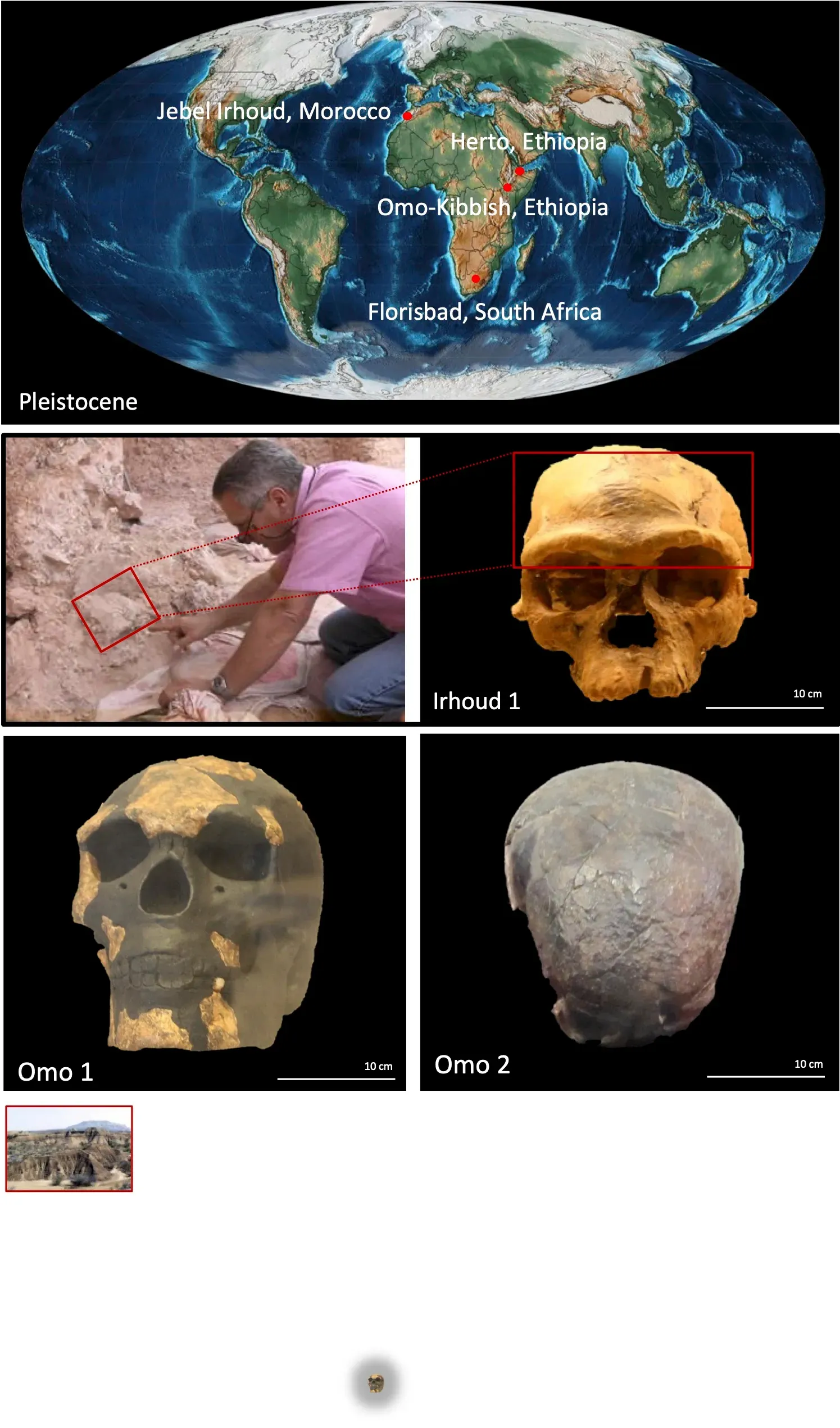 #9 - Our Species Is 100,000 Years Older Than We Were Taught (By Bioanthropologist1, CC BY-SA 4.0)