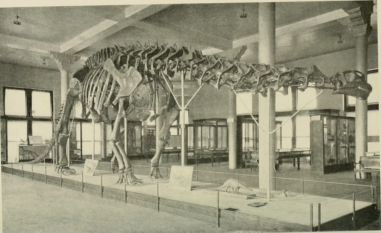 5. Brontosaurus never existed (and the name was just “wrong”) (By Internet Archive Book Images, No restrictions)