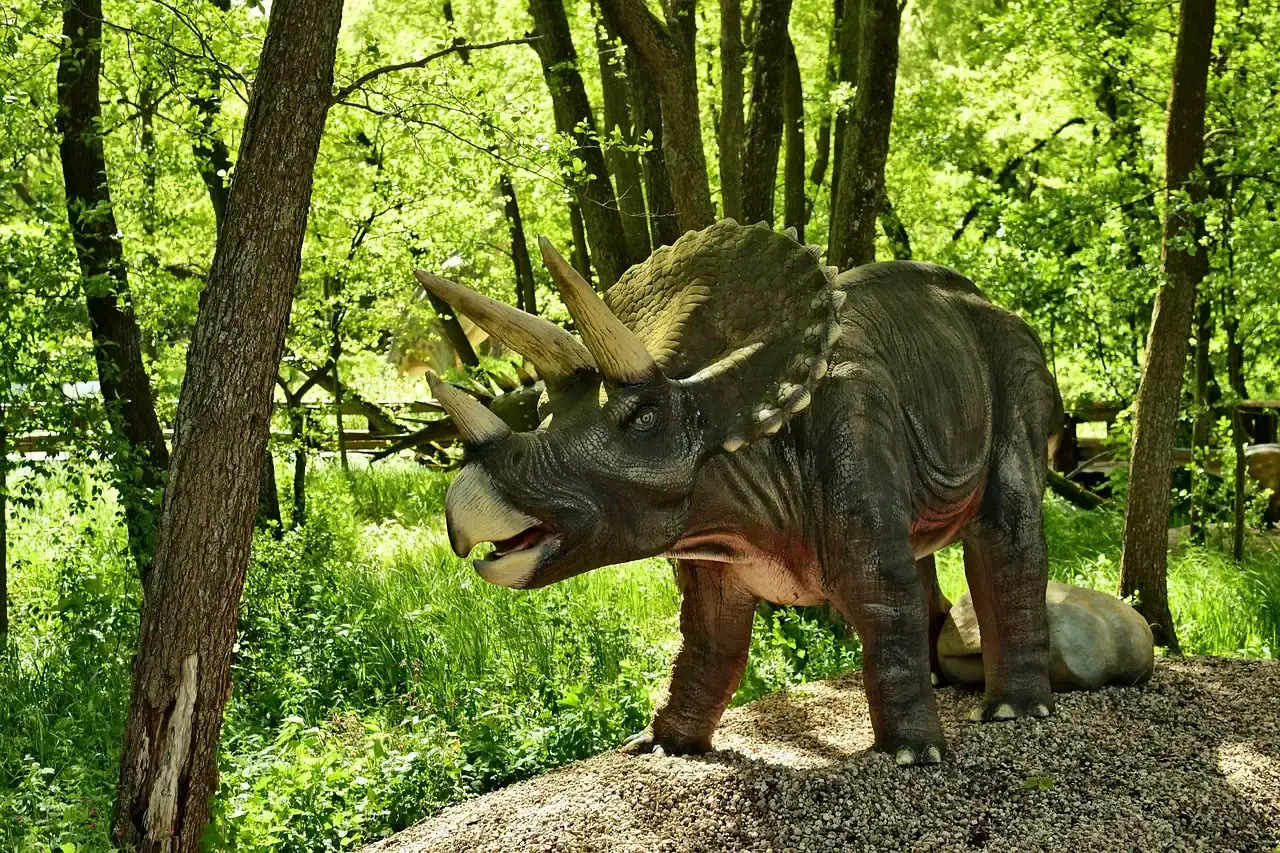 #7 - Those Bizarre Horns and Crests? Scientists Genuinely Disagree on Why They Exist (Image Credits: Pixabay)