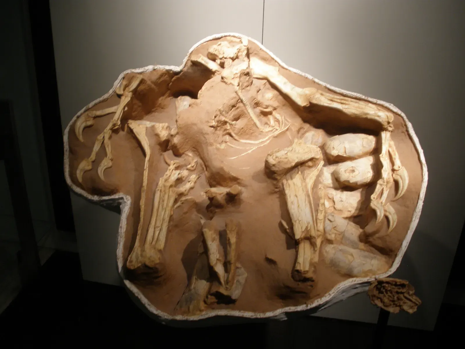 Parental Devotion Through the Prehistoric Year (Image Credits: Wikimedia)