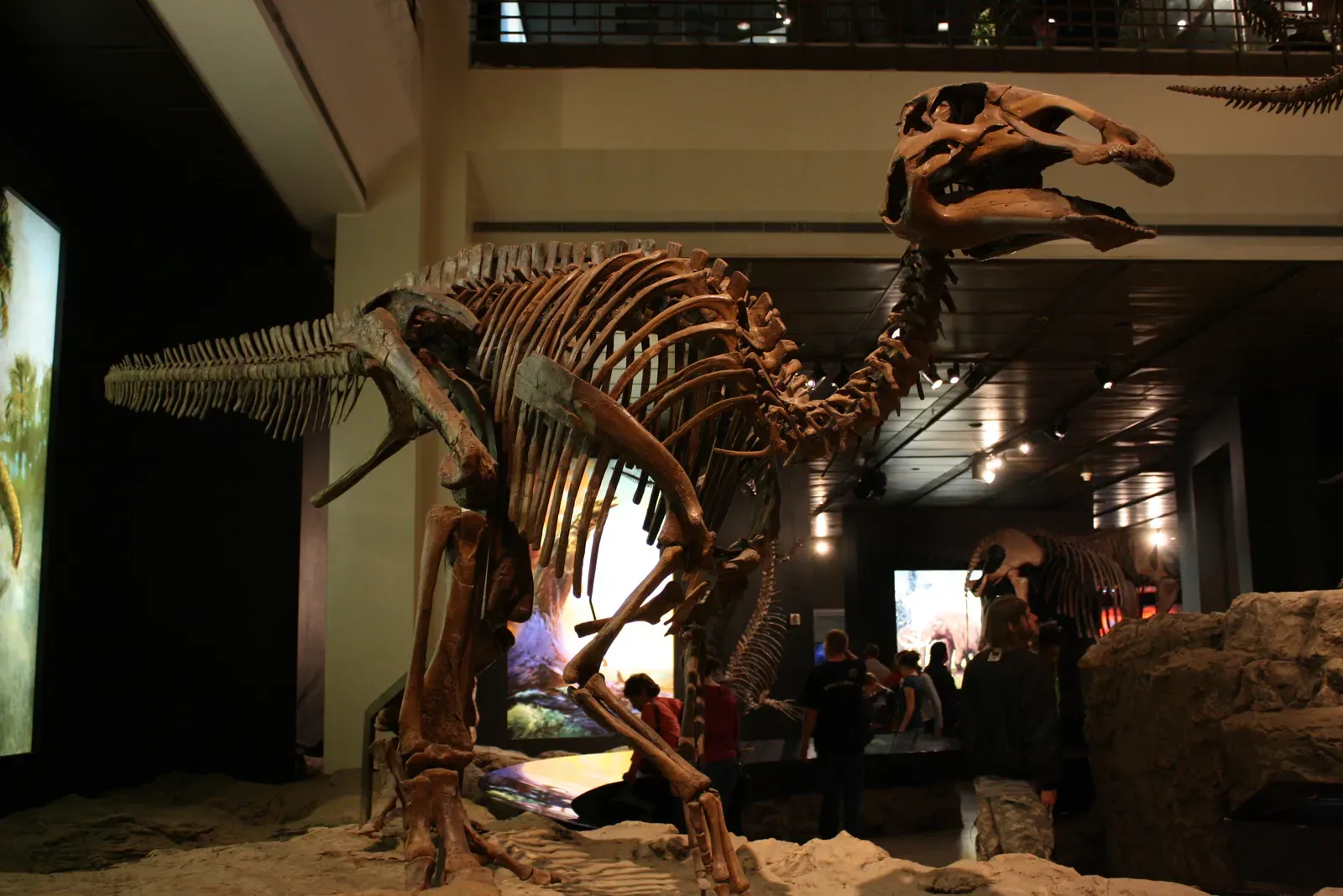 Arctic Dinosaurs: From Wild Theory to Hard Evidence (Uploaded from the Wikipedia Loves Art photo pool on Flickr, CC BY 2.5)