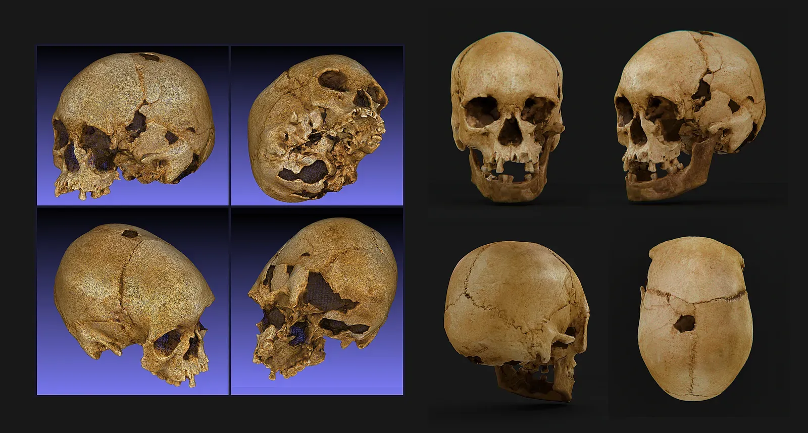#11 - The Skeleton That Survived a Museum Fire (By Cicero Moraes, CC BY-SA 4.0)