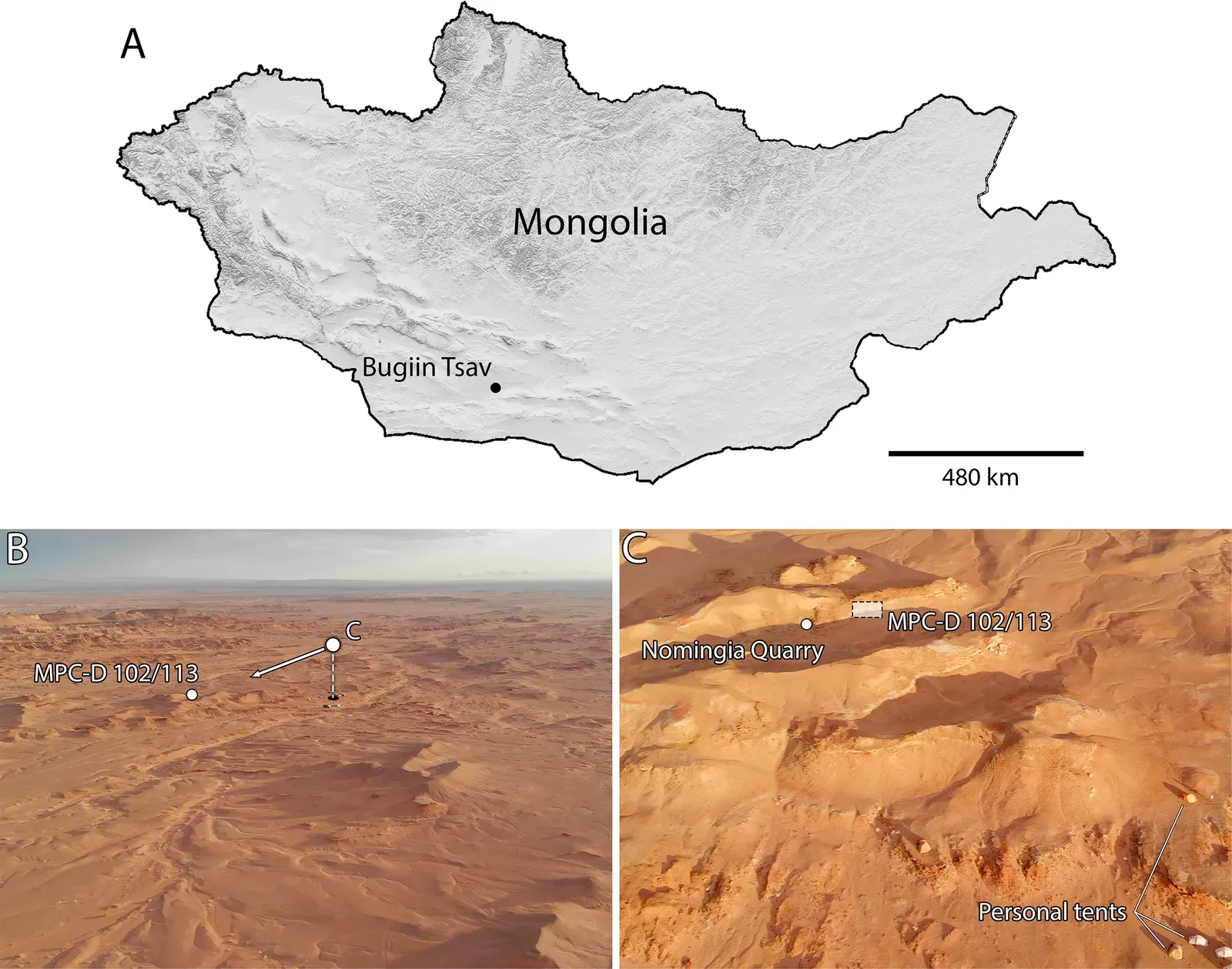 4. The Nemegt Formation, Gobi Desert, Mongolia: Asia's Dinosaur Capital ((2021). "A partial oviraptorosaur skeleton suggests low caenagnathid diversity in the Late Cretaceous Nemegt Formation of Mongolia". PLOS ONE 16 (7): e0254564. DOI:10.1371/journal.pone.0254564., CC BY 4.0)
