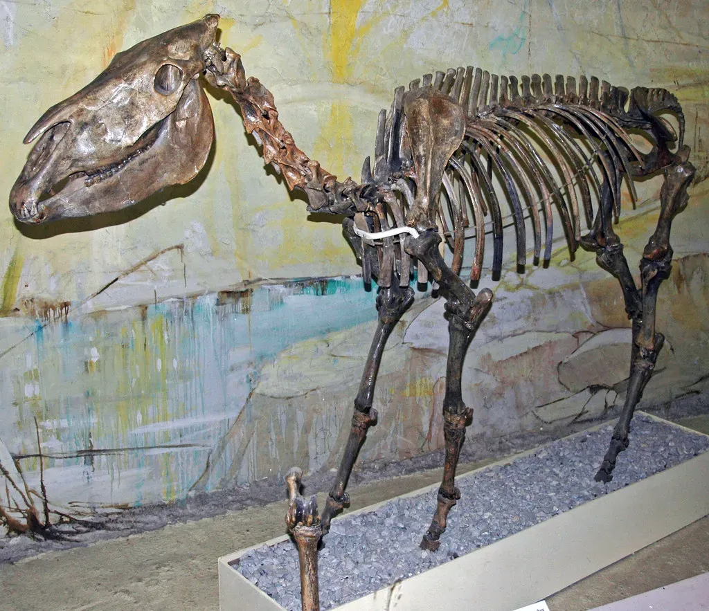 11. Pleistocene horses in the Americas – wild horses before “wild horses” (James St. John, Flickr, CC BY 2.0)