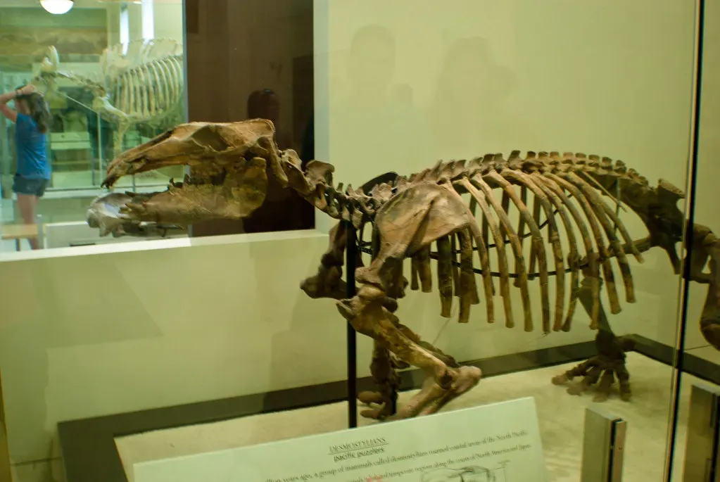 Conclusion (Image Credits: Flickr)