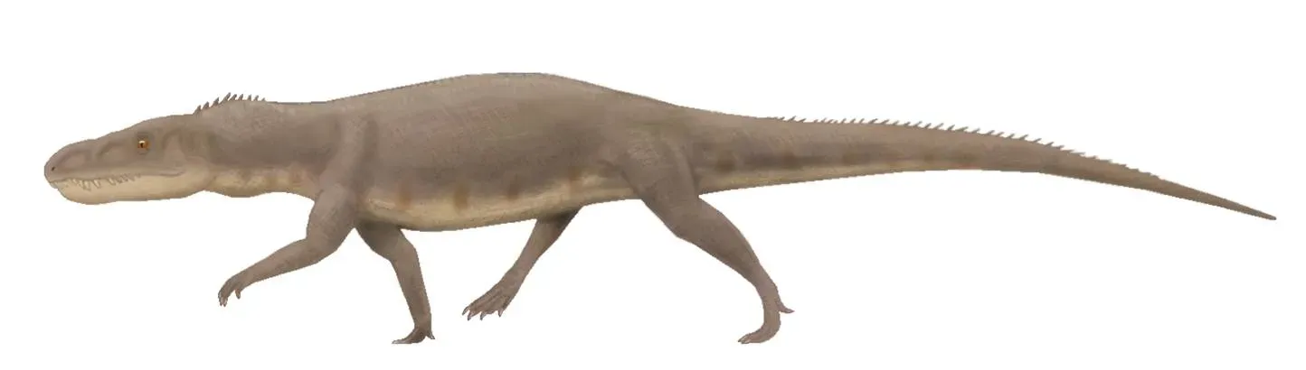 Erythrosuchids: The Red Crocodiles of the Post-Apocalyptic Triassic (Image Credits: Wikimedia)